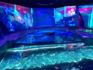 piscine vidéo à l'aquascope